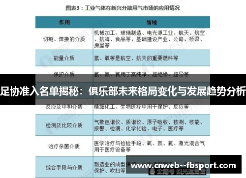 足协准入名单揭秘：俱乐部未来格局变化与发展趋势分析